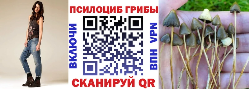 Галлюциногенные грибы MAGIC MUSHROOMS  Лахденпохья 